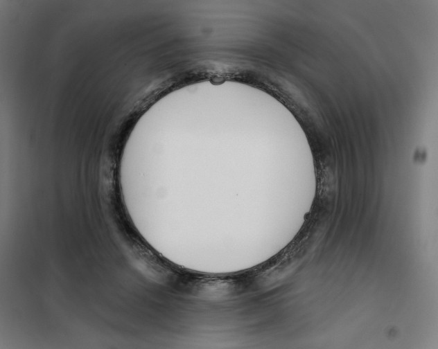 X0000101180456200807250943