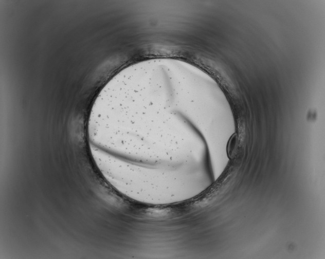 X0000101180457200807250944