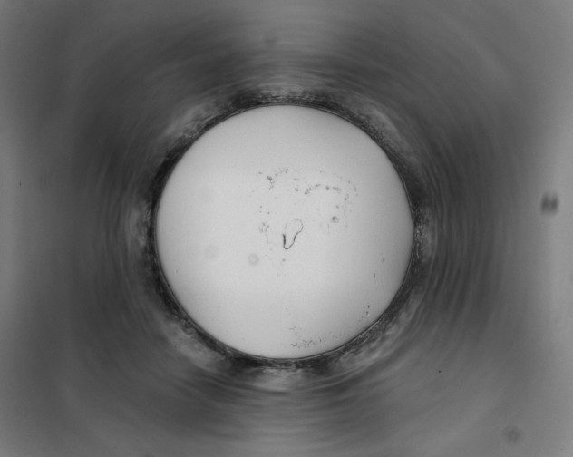 X0000101180458200807250944