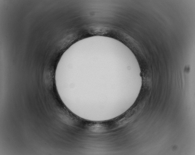 X0000101180460200807250944