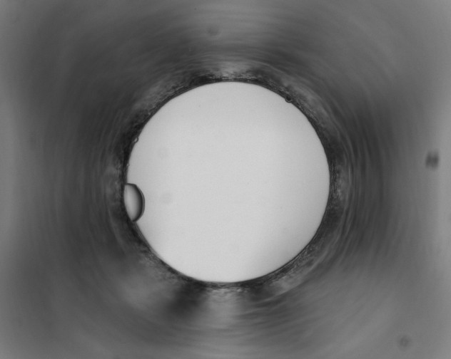 X0000101180461200807250944