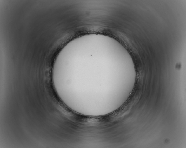 X0000101180462200807250944