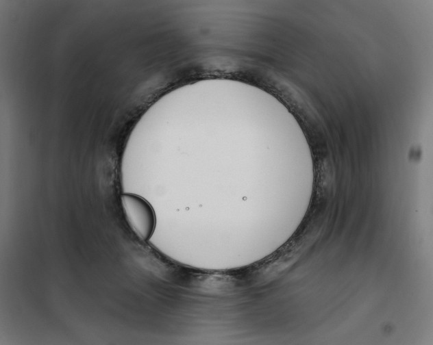 X0000101180463200807250944