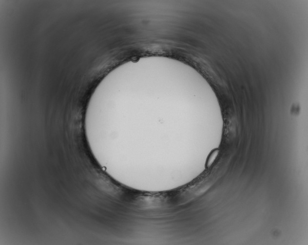 X0000101180466200807250944