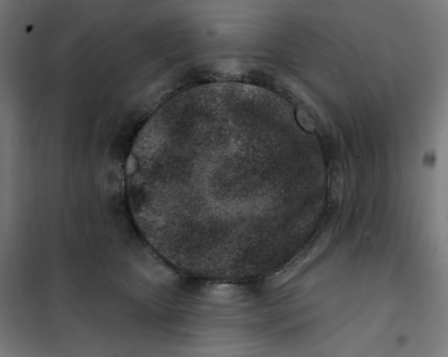 X0000101180467200807250944