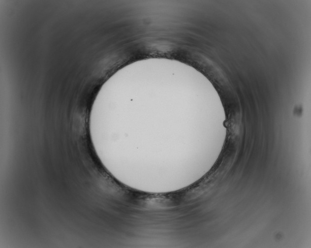 X0000101180468200807250944