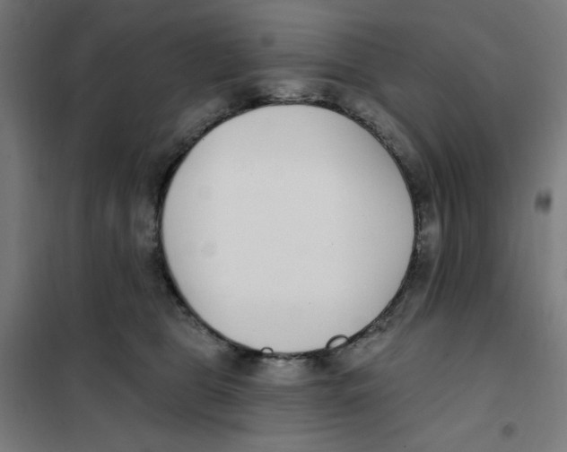 X0000101180469200807250944