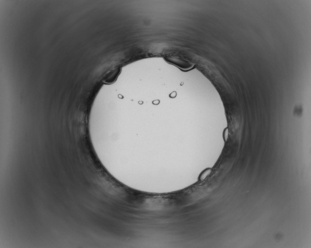 X0000101180470200807250944