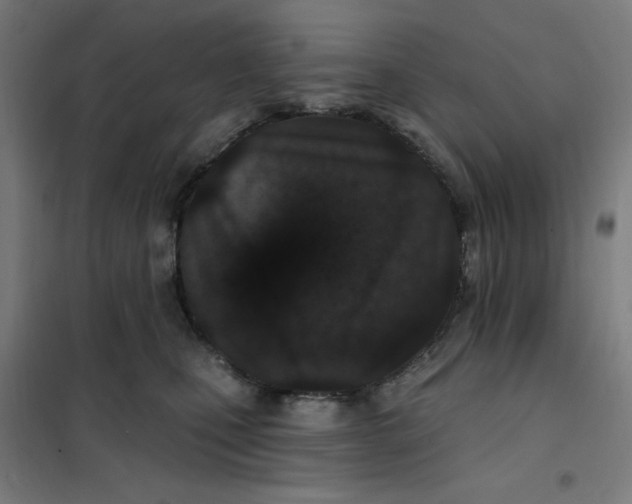 X0000101180471200807250944