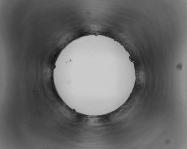 X0000101180472200807250944