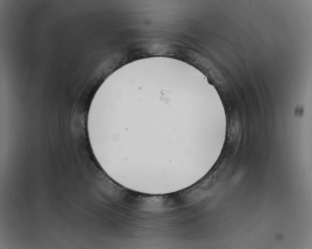 X0000101180473200807250944