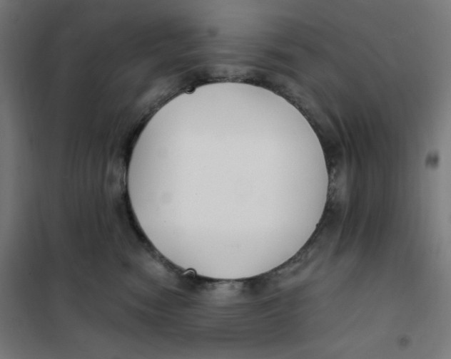 X0000101180474200807250944