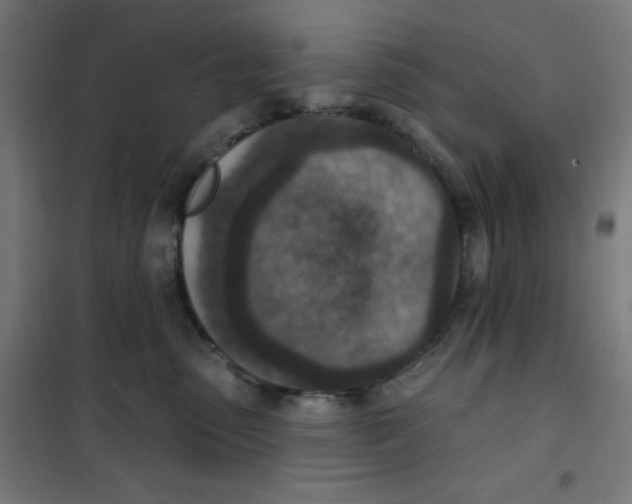 X0000101180475200807250944