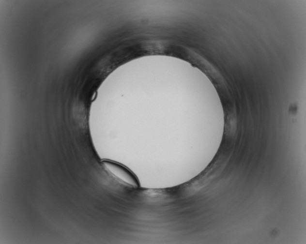 X0000101180477200807250944