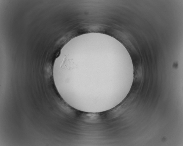 X0000101180478200807250944