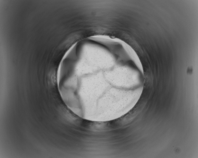 X0000101180479200807250944