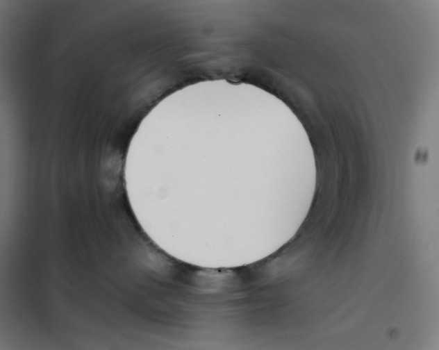 X0000101180480200807250944