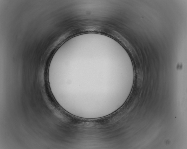 X0000101180482200807250943