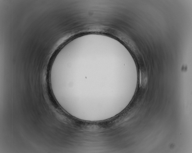 X0000101180483200807250943