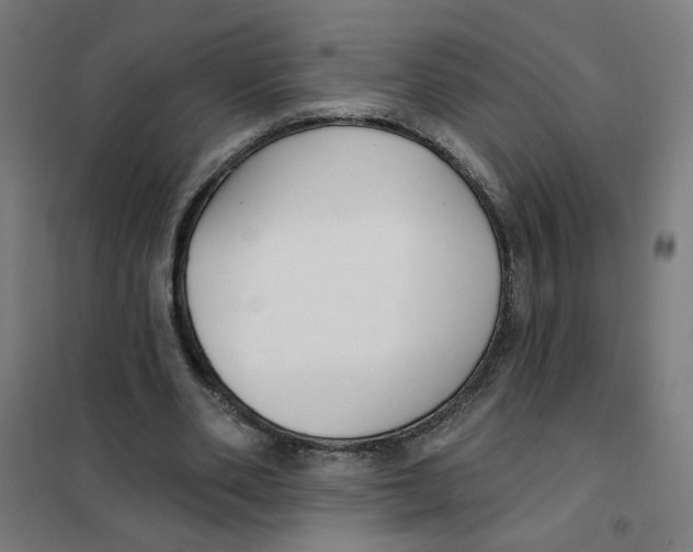 X0000101180486200807250943