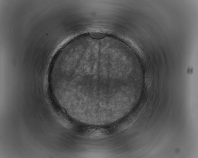 X0000101180488200807250943