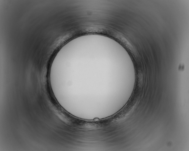 X0000101180490200807250943