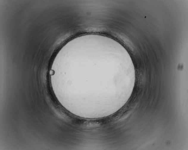 X0000101180491200807250943