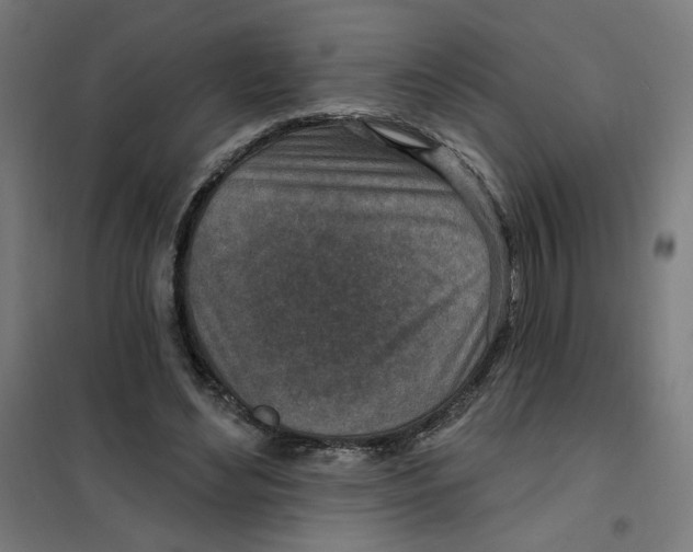 X0000101180492200807250943