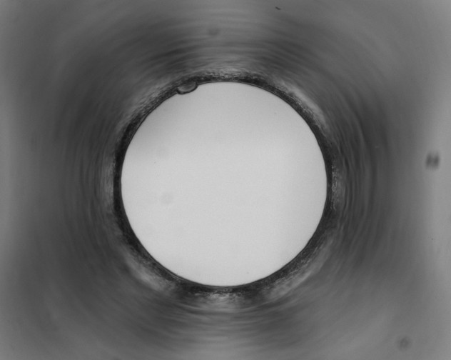 X0000101180493200807250943