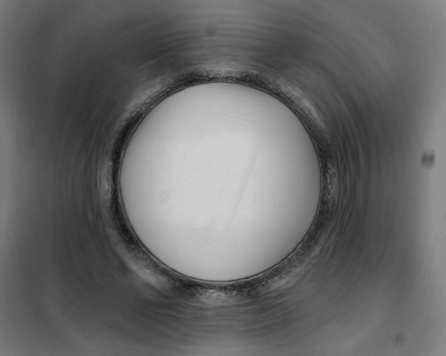 X0000101180494200807250943