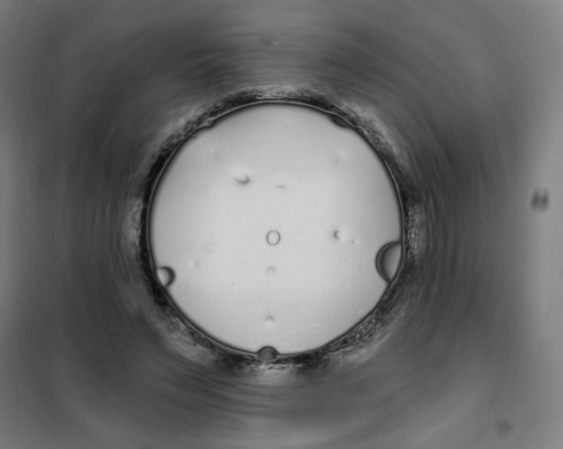 X0000101180495200807250943