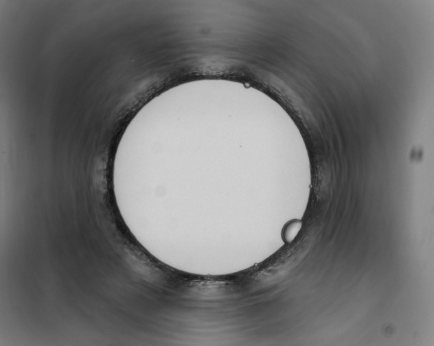 X0000101180497200807250943