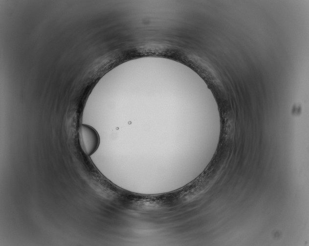 X0000101180498200807250943