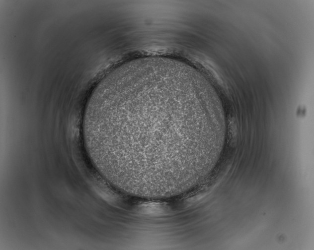 X0000101180499200807250943