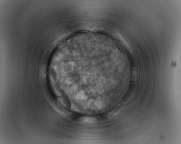 X0000101180500200807250943