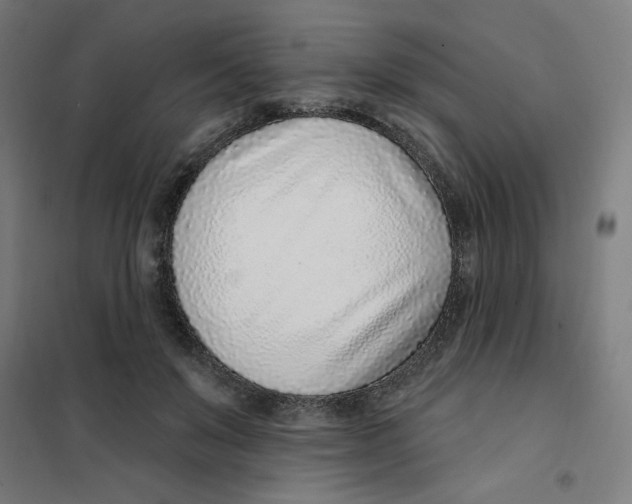 X0000101180503200807250943