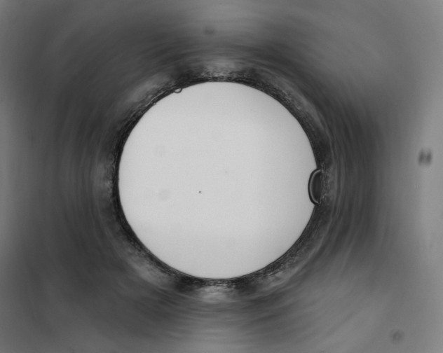 X0000101180505200807250943