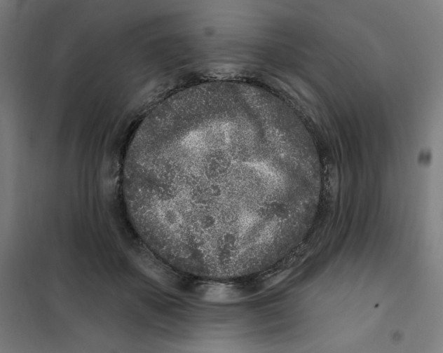 X0000101180507200807250943