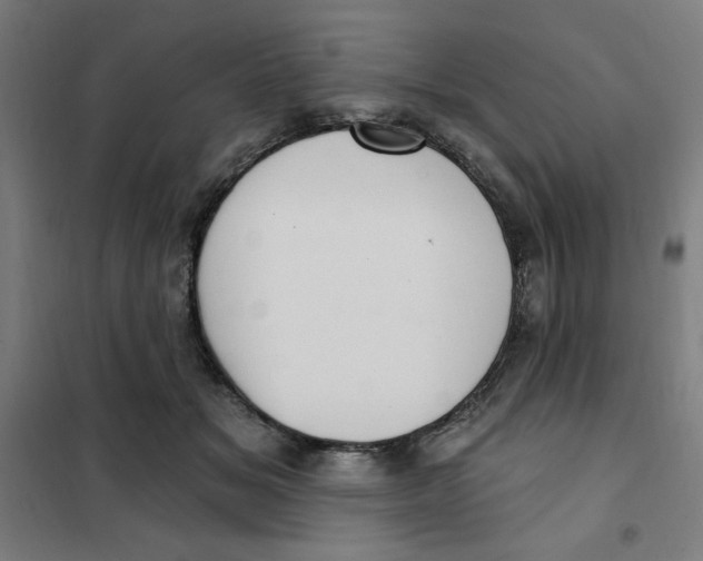 X0000101180509200807250943