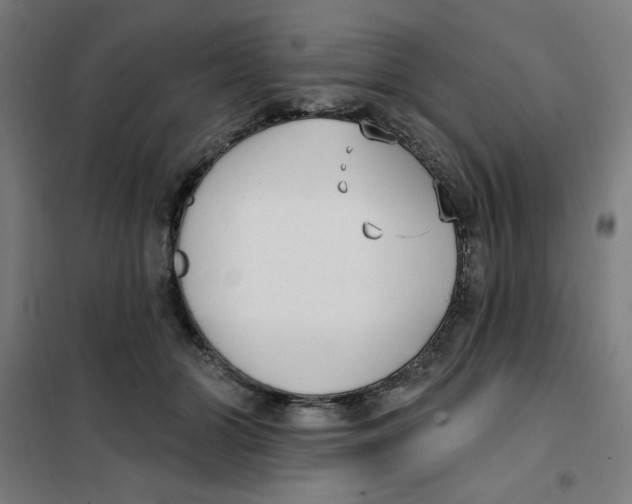 X0000101180510200807250943