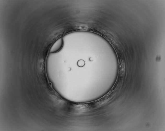 X0000101180511200807250943