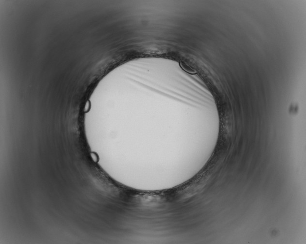 X0000101180512200807250943