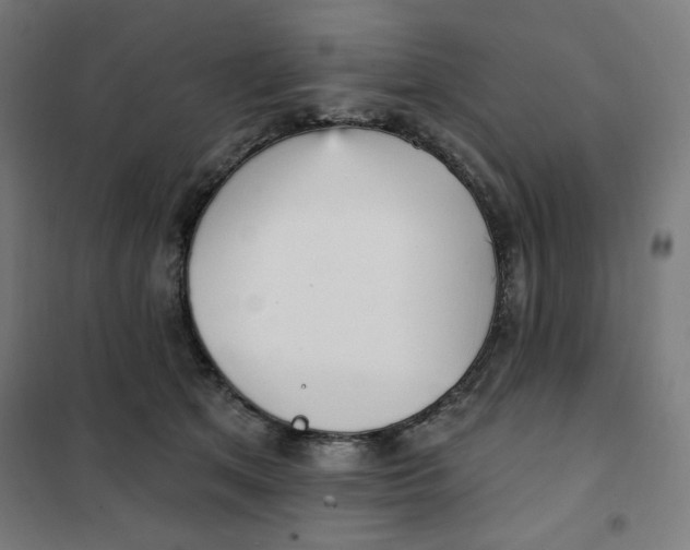 X0000101180513200807250943