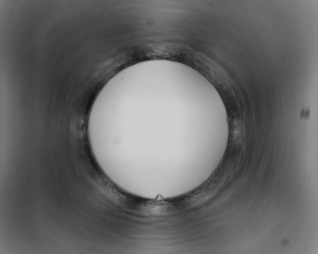 X0000101180514200807250943