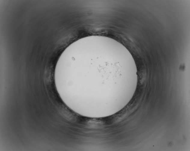 X0000101180515200807250943