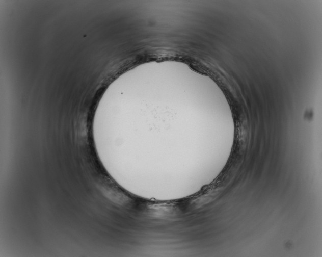 X0000101180516200807250943