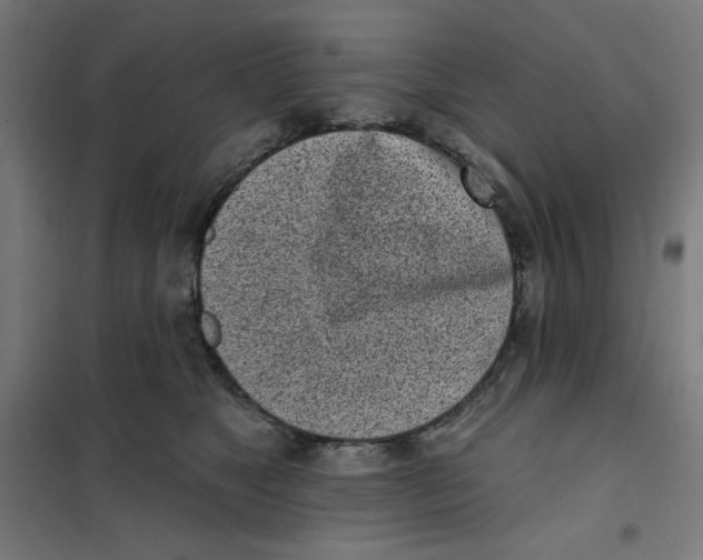 X0000101180517200807250943