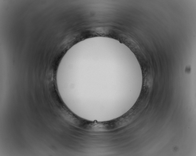 X0000101180518200807250943