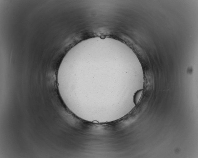 X0000101180523200807250943