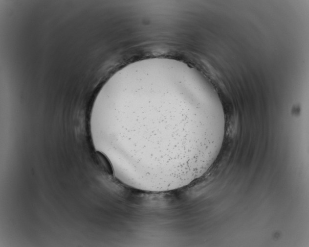 X0000101180524200807250943